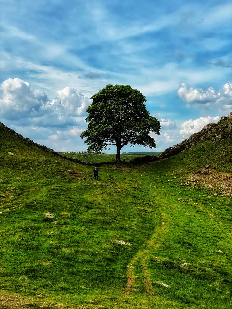 leecartwrightph's tweet image. I’m absolutely gutted about Sycamore gap. Only made it once. A legendary location for photographers and I was desperate to get back many more times. Awful news this morning.