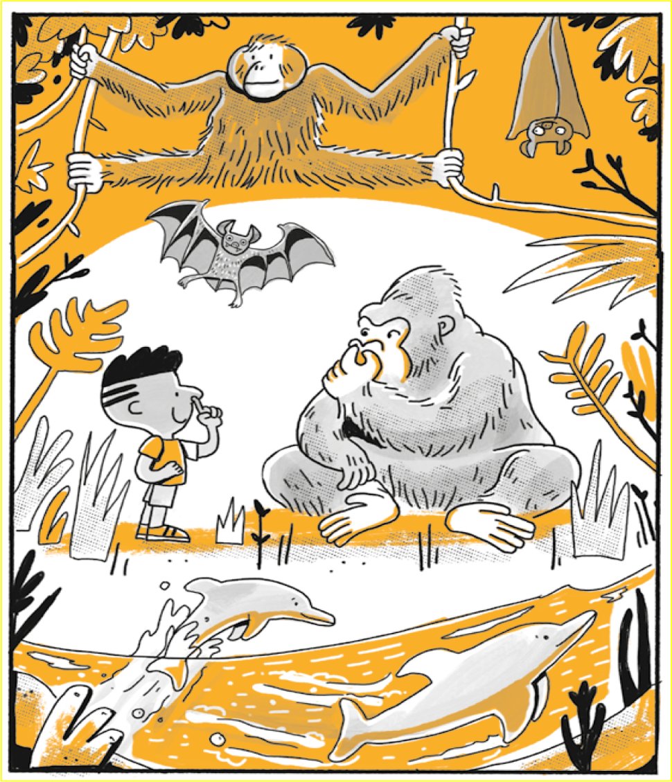 AdamRutherford's tweet image. Anyway. WHERE ARE YOU REALLY FROM? is out today, and I'm super proud of it. You know how to buy it, and if you can get it from an indie or your local bookshop. 
uk.bookshop.org/p/books/where-…