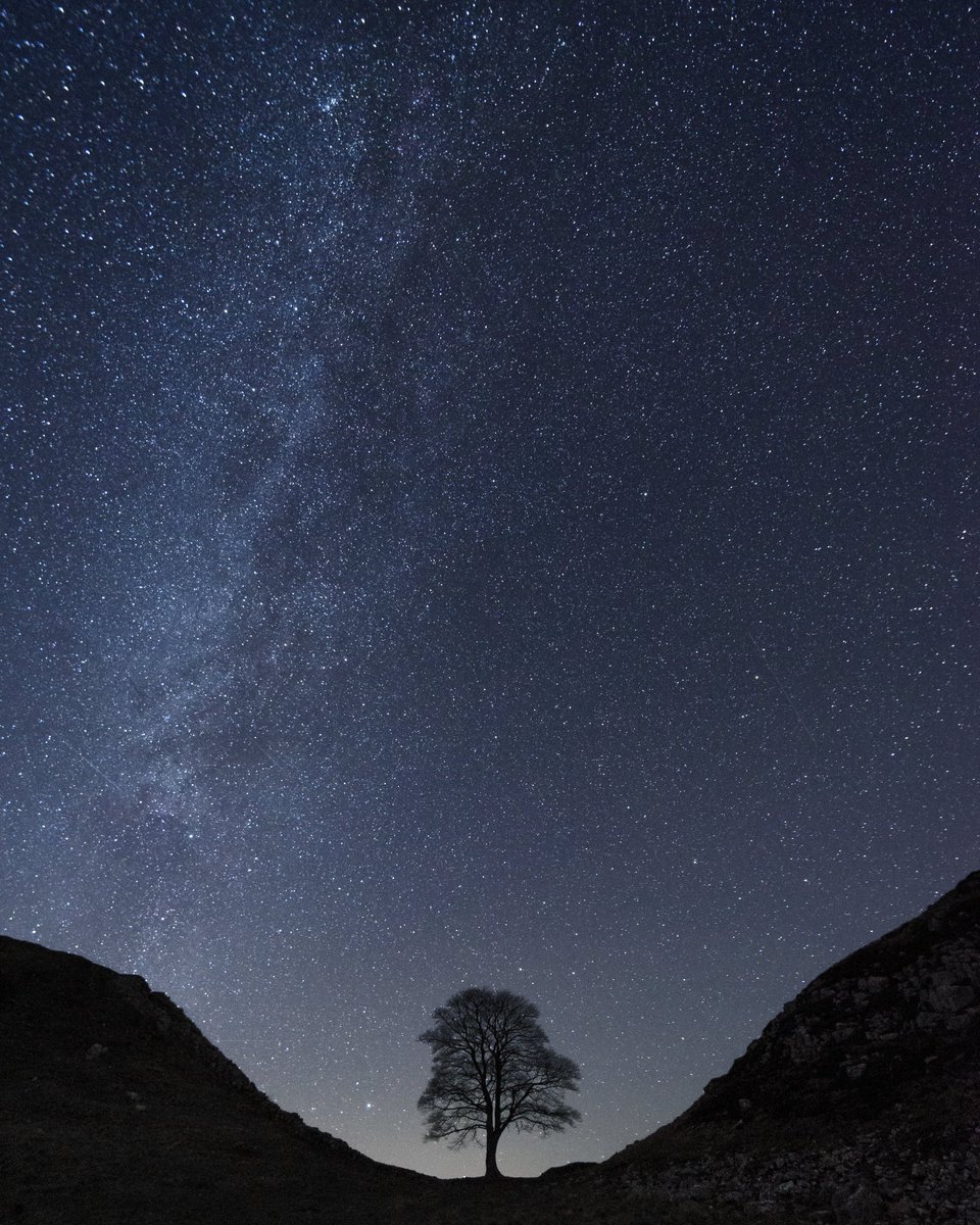 Absolutely disgusted to hear about Sycamore Gap this morning & that someone has chainsawed down this beautiful tree. I literally cannot understand why someone would do something like that. At least I'll have the memory of shooting the Milky Way here, one cold January night.
