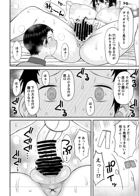 マッマによる保健体育の授業に耐えられなくなって挿入する息子 