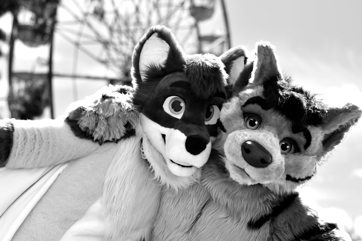 ddocandtheta's tweet photo. I think the black &amp; white turned out particularly well in this one 😊

Theta by @Onefurallstudio
@JonesDestroyer by @WildDogWorks

Photo by @Charlie_Dingo (edited by me)
#furry #fursuit https://t.co/HR8A5QPhzE