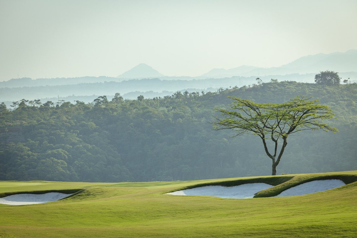 Ernie Els Design & Hospitality tweet media