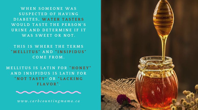 zcwzhy's tweet photo. 糖尿病这个名字早就该被废除了

依当今临床医学的普遍认知，俺认为被称为“高葡萄糖血症”比较合适

现在我们知道，并不是所有的血糖升高都可以尿糖阳性，因为只有血糖水平超过了肾小管对葡萄糖回吸收的能力尿糖才会出现，此即所谓肾糖阈

另一方面如果肾糖阈降低，即使没有糖尿病尿糖也可以阳性，比如肾性尿糖

糖尿病（diabetes mellitus，DM）是一组常见的以葡萄糖和脂肪代谢紊乱、血浆葡萄糖水平增高为特征的代谢内分泌疾病（其病因及分类俺以后会讲），但历史上人类对该疾病的认知至少经历了“尿崩”、“尿甜”、“尿糖”、“血糖”、“胰岛素的不足与胰岛素抵抗”等阶段

糖尿病的英文很多人以为就叫Diabetes

其实是Diabetes Mellitus，Diabetes表达的是患者尿多的状态，Mellitus表达的是患者尿液的甜蜜属性

Diabetes来源于希腊语，��元2世纪卡帕多锡阿（Cappadocia）的著名医生阿勒特斯（Aretaeus，81-138）第一次用来描述这种��量排尿的消耗性疾病，有人说Diabetes指的是筛子，有人说是虹吸管，但都表达的是液体不断排出身体的情形

Diabetes 有两个词根：dia → 通过、跨过；betes → 通过、走、行走，意思是“尿液总是流出来”

17世纪，英国英国国王查理二世的医生托马斯·威利斯（Thomas Willis，1621-1675）将“甜尿”与糖尿病的相关研究传达给英国医学界，他记录到“患者的尿非常甜，就像是掺了糖或者蜜” （可见甜对那时候的欧洲人是多么大的奖赏，说实话相对蜜而言，葡萄糖真的不怎么甜）

Thomas Willis正是大名鼎鼎的脑底动脉环的发现者

Diabetes Mellitus的首位提出者是苏格兰医生威廉·库伦（William Cullen，1709-1790）

1769 年，库伦在爱丁堡大学担任医学教授期间，提出了dibetes应该分为diabetes insipidus（尿崩症）和 diabetes mellitus（糖尿病）两种：尿崩症患者的尿液没有任何味道，而糖尿病患者的尿液中含有甜味物质

Mellitus源于拉丁语的“蜂蜜”一词，意思是“总是产生像蜂蜜一样甜的尿液”

汉语“糖尿病”一词属于和制汉语，明治8年（1875年）桑田平将diabetes mellitus译为“蜜尿病”，明治15年（1882年）伊势锭五郎译《贝尔茨原著内科病论》时使用“糖尿病”一词，至大正时代（约20世纪初年）糖尿病一词便完全固定下来

我大中医对此类疾病的描述自然是“遥遥领先”，《黄帝内经》有“消渴”的描述，此后一直沿用“消渴”等一系列词汇，直至“糖尿病”一词进入中国

（其实公元前一千五百多年古埃及莎草纸古抄本中记载着多种疾病的描述，其中有一种叫做“多尿”的疾病的详细的描述，人们已经注意到患者的饮水量与尿量不成比例，这正是糖尿病表现的特征之一，这是迄今发现最早的关于糖尿病的描述）

至于中国什么时候将“糖尿病”一词引入中国，俺没有找到资料，欢迎朋友们提供信息

关于人类对糖尿病后续认识的事儿，俺以后再讲