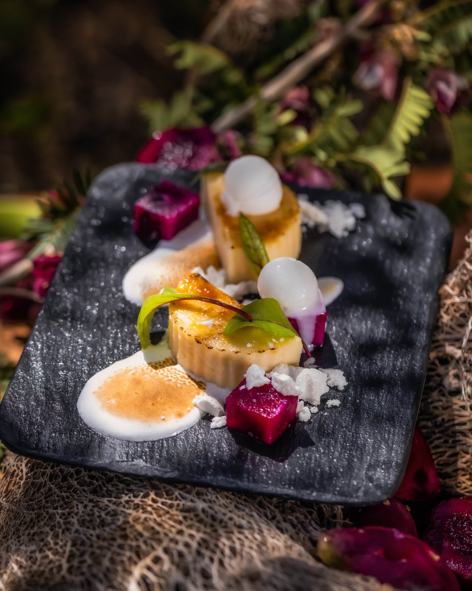 Can you crack the code to the yummy Desert Prickly Pear Tilt? Put your chef hat on and leave your guesses in the comment section below! Come find out the secret at #LoisabaTentedCamp and join us for an unforgettable #CulinaryMystery #EncounterElewana!