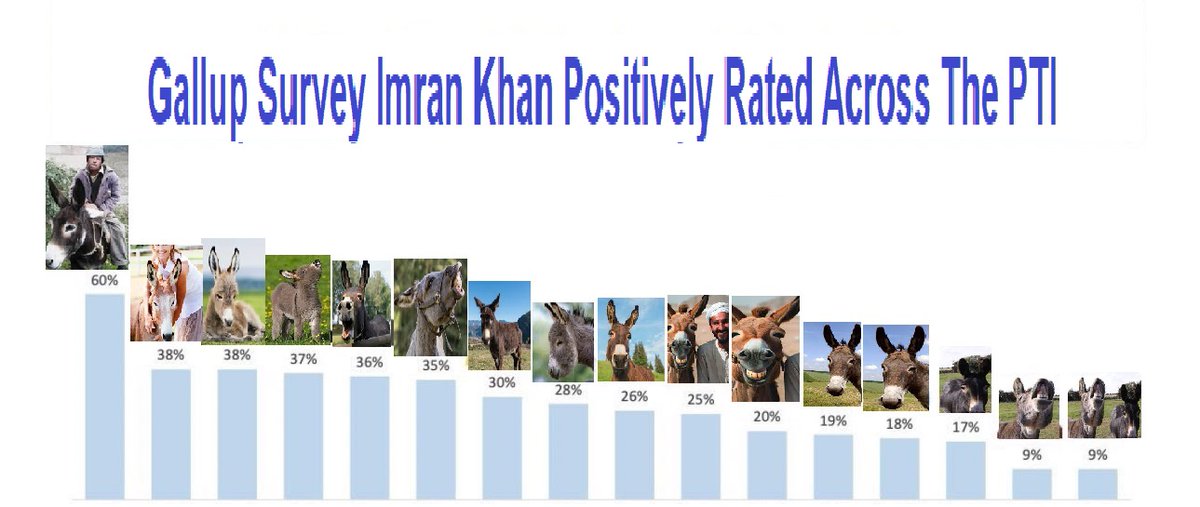 mbawais's tweet photo. @ShamaJunejo @BBhuttoZardari Popular Leader Among the #Imrandoos
🙏😜 https://t.co/M8Bp3oPHvw