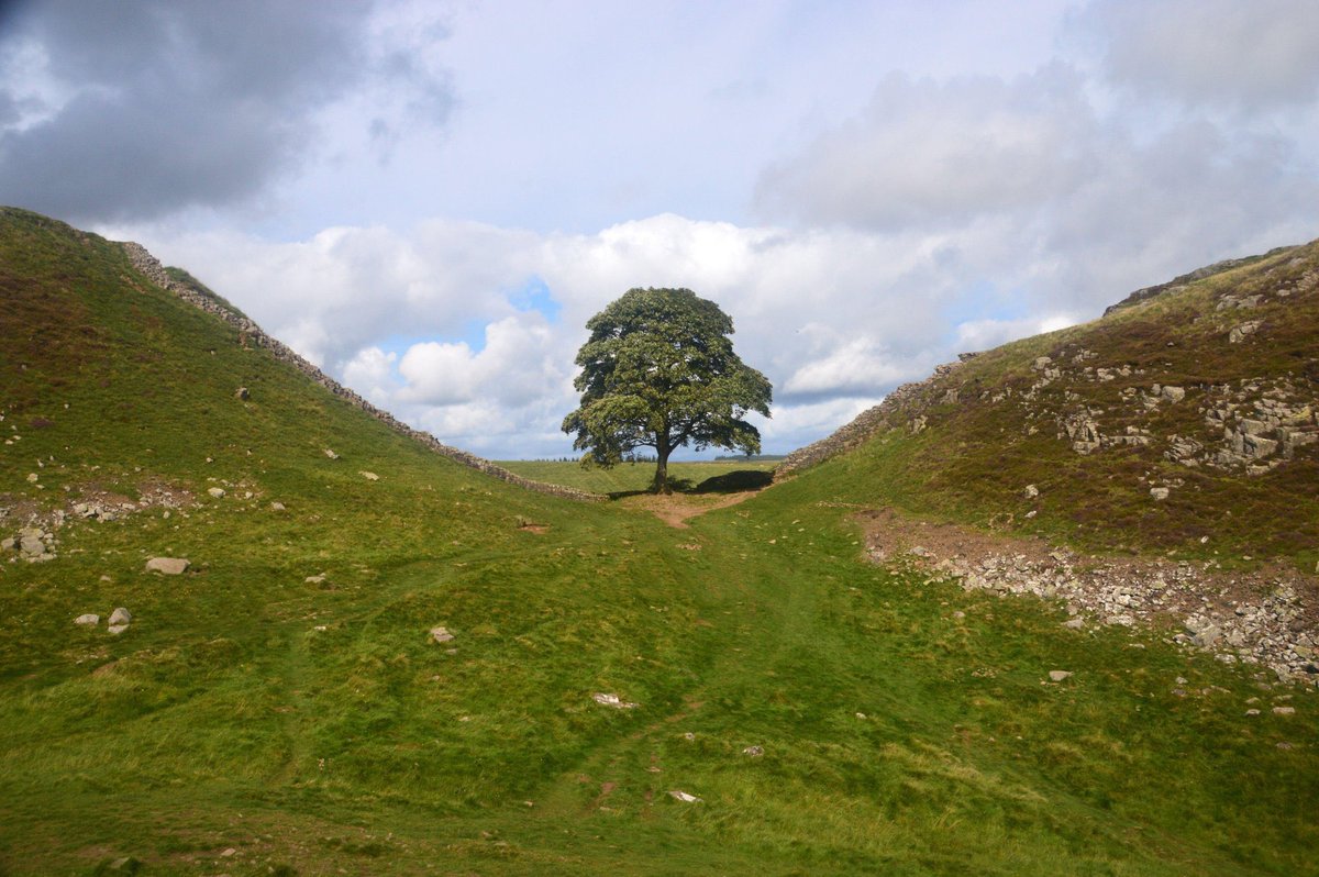 Why would anyone do this, you irredeemable cunt