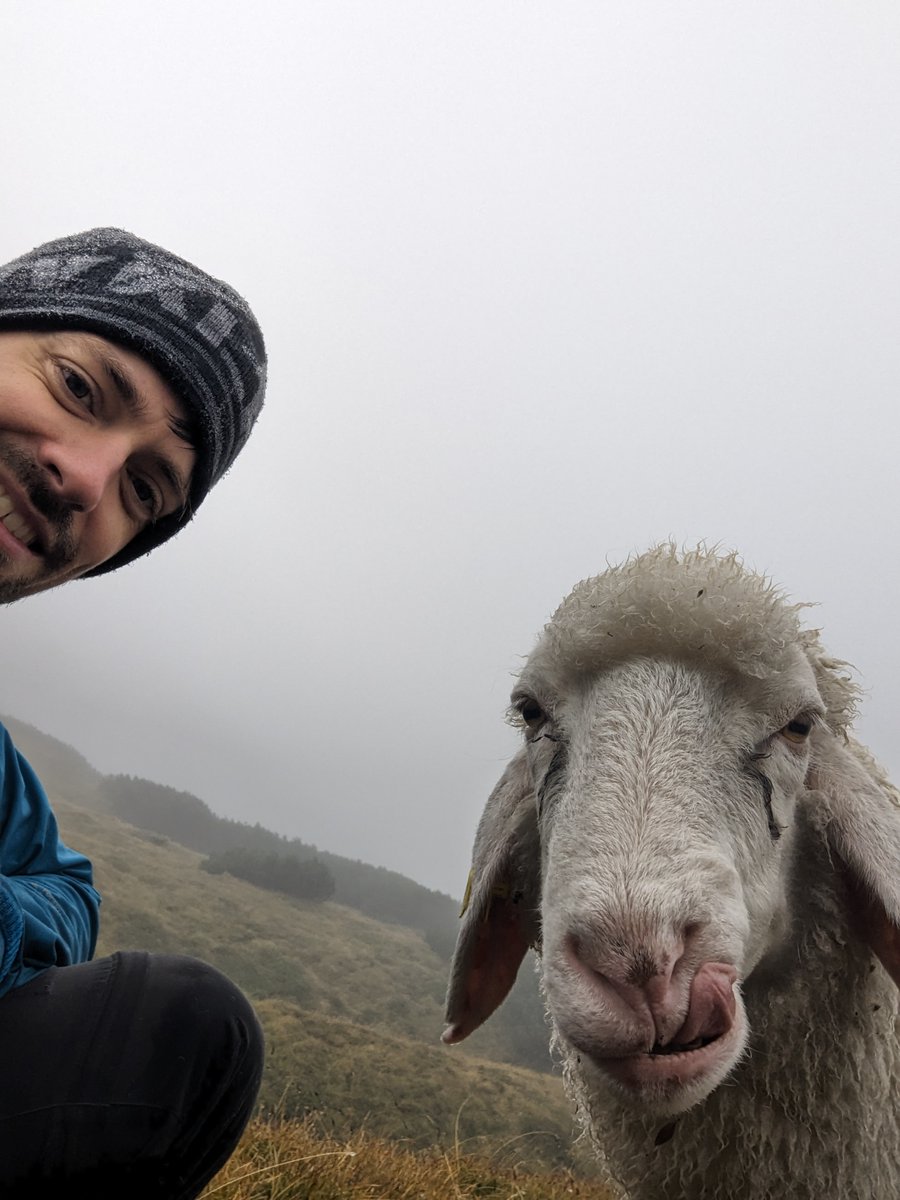 Webmozarts tweet media