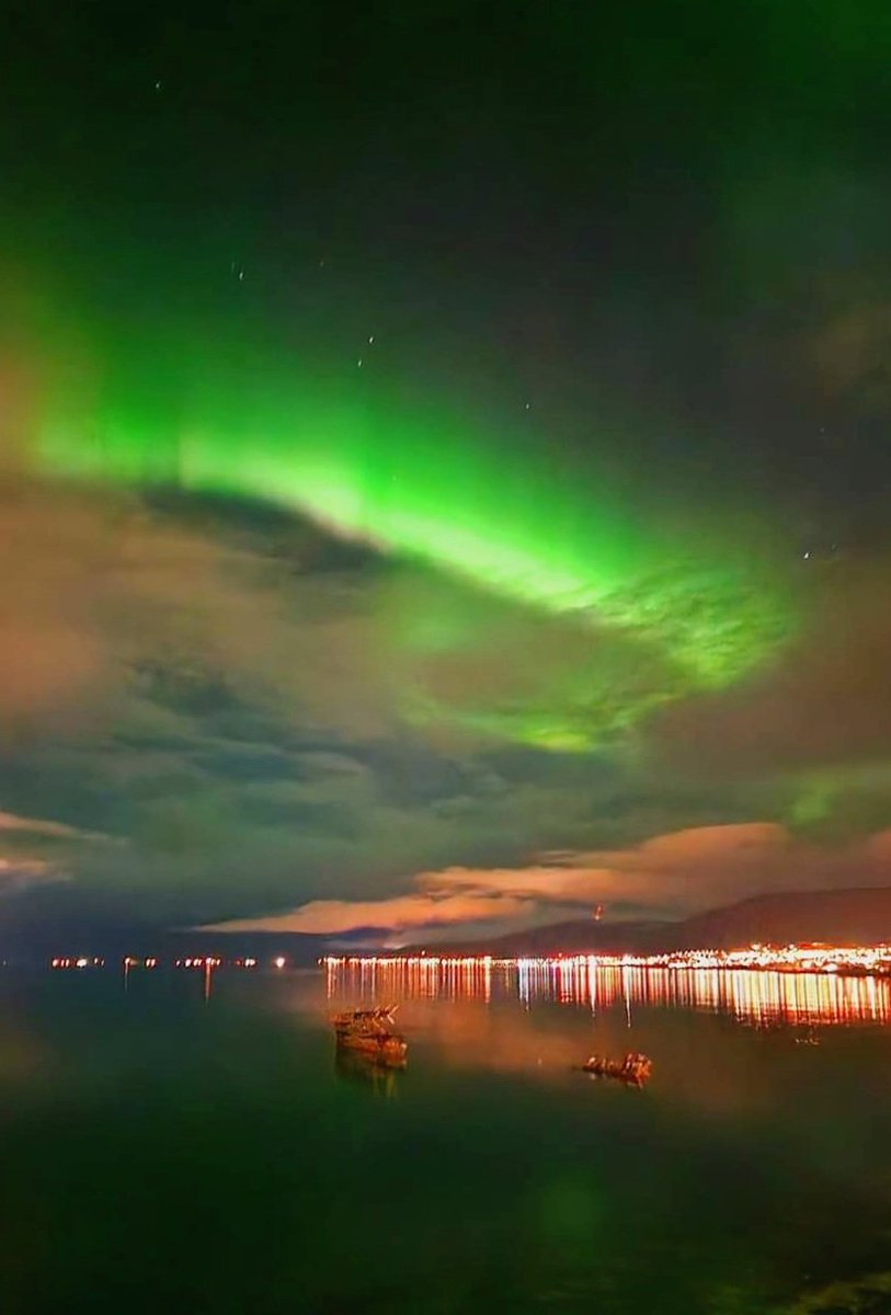rykarlsen's tweet photo. Sekarang mulai musim gugur di Norwegia Utara. Aurora, daun menguning, sedikit salju, dan warna cokelat hampir di mana-mana😉🤗

"And all at once, summer collapsed into fall." - Oscar Wilde - https://t.co/FI2Q0qYgVJ