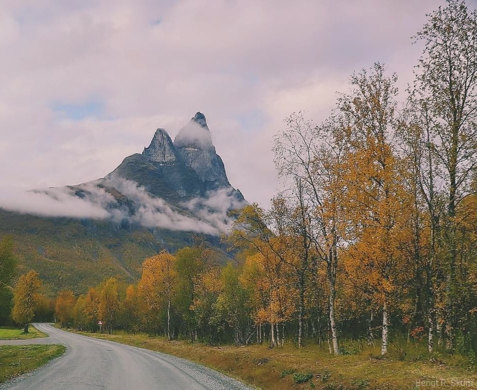 rykarlsen's tweet photo. Sekarang mulai musim gugur di Norwegia Utara. Aurora, daun menguning, sedikit salju, dan warna cokelat hampir di mana-mana😉🤗

"And all at once, summer collapsed into fall." - Oscar Wilde - https://t.co/FI2Q0qYgVJ