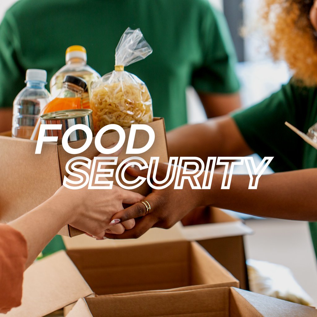 When we talk about #HumanSecurity, we must consider the crucial role of #FoodSecurity. It's not just about having enough food; it's about ensuring that the food is nutritious, safe, and accessible to all. 🌱