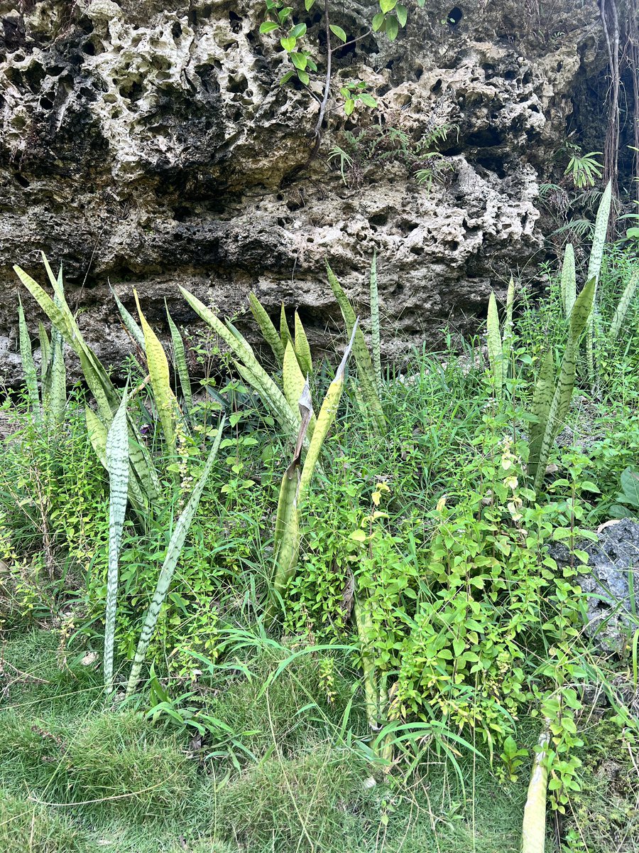 Joe In SM tweet media