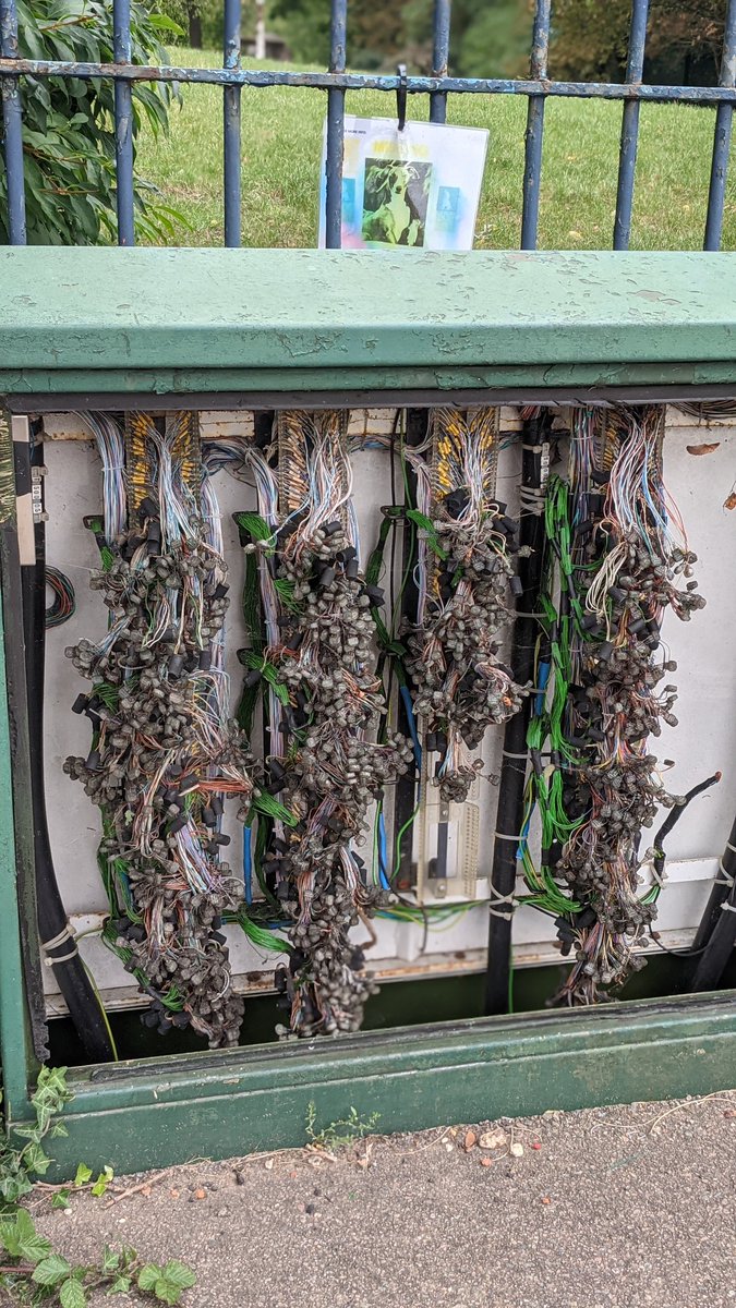 PaulChahidi's tweet image. It&apos;s begun. AI grapevines. #Robocrop
