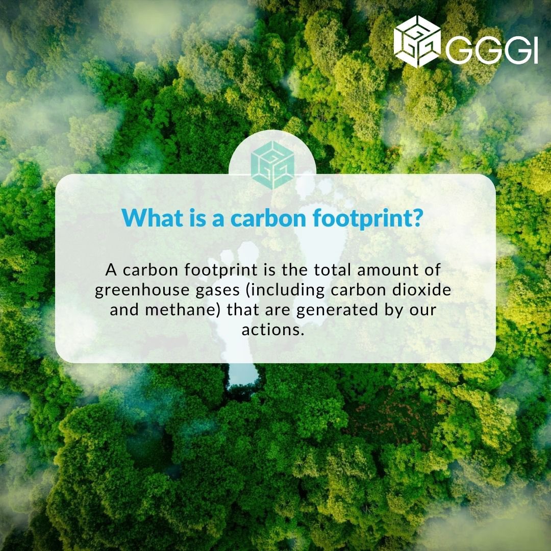 We use #carbonfootprints to see how much we impact the planet. It helps us fight #climatechange and make #greener choices.