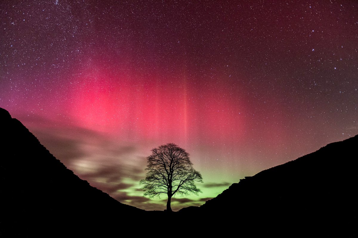 OMG…some moron has deliberately felled the iconic tree at sycamore gap in Northumberland ☹️

#moronswithchainsaws #sycamoregap #visitnorthumberland