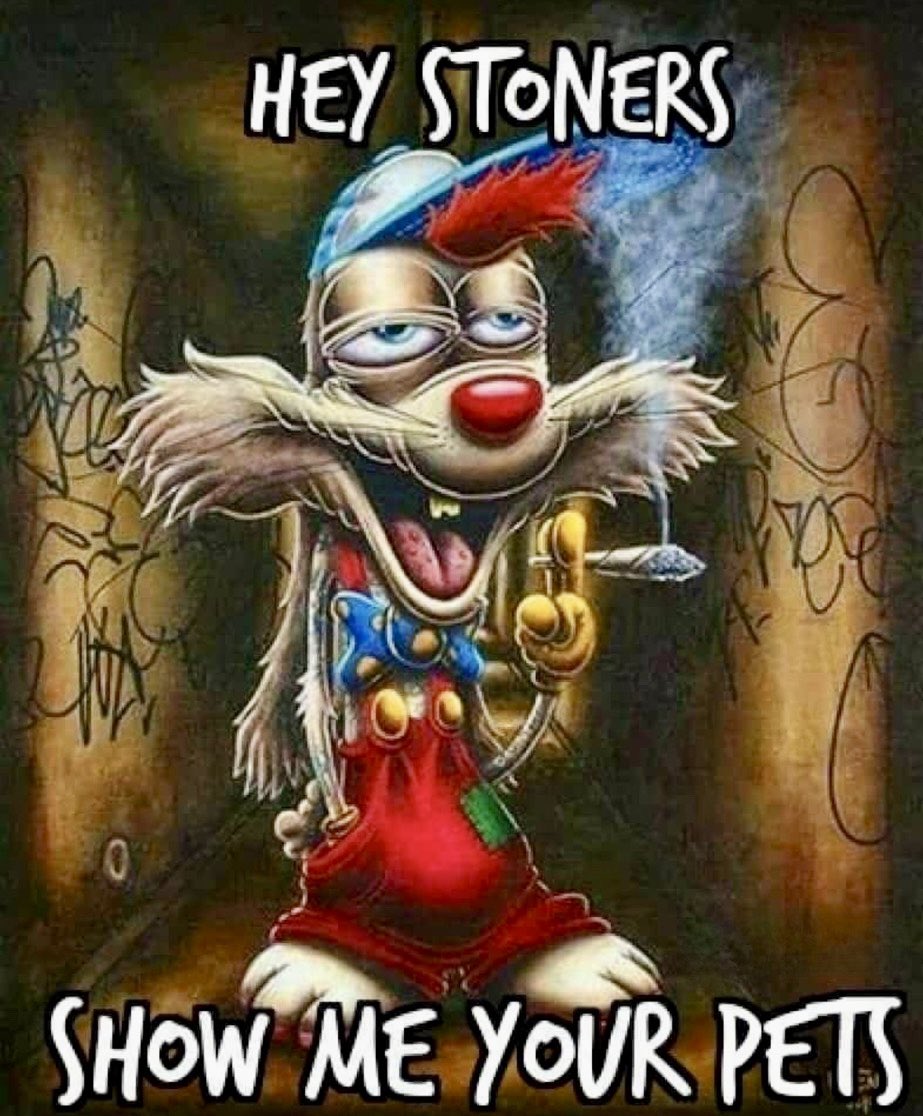 AngelOfIndica's tweet photo. Stoner fur babies 🐾 https://t.co/ndt629SJoy