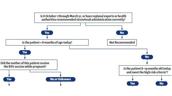 Daniel Jarovsky tweet media