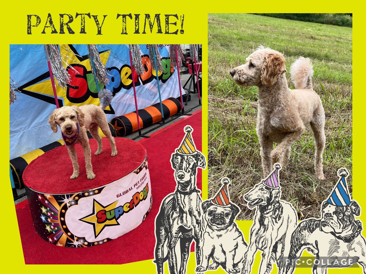 Emma Dailey tweet media