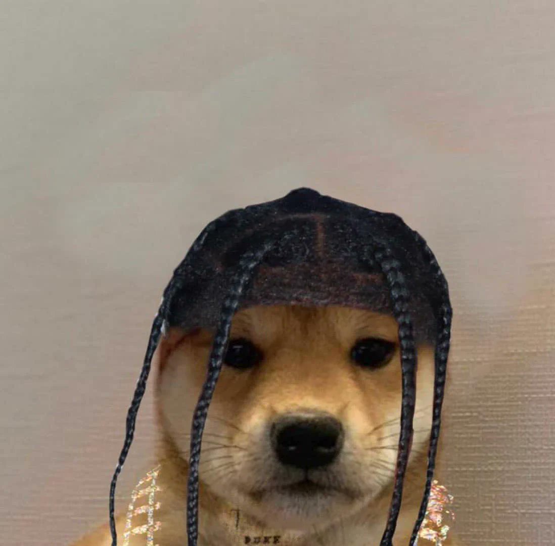 TrollFootball's tweet photo. Dog after signing for Chelsea https://t.co/WicIRvcN2C
