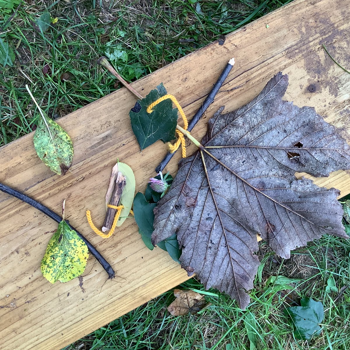 meadowvieweyfs's tweet photo. Foundation have loved our first visit to Forest school! We have been exploring, making wind wands and practising subitising in our sessions. https://t.co/A6xkVPWYIl