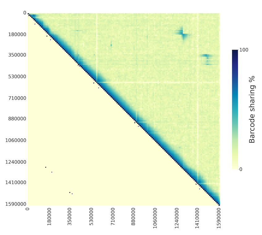 AnnaOrteu's tweet photo. @simonhmartin and I have written a tool to visualise and identify candidate structural variants from linked read data. 
With *one line* of code you can produce visualisations like this, in which you can see an inversion in the top-right corner: https://t.co/8iJRb39FDf