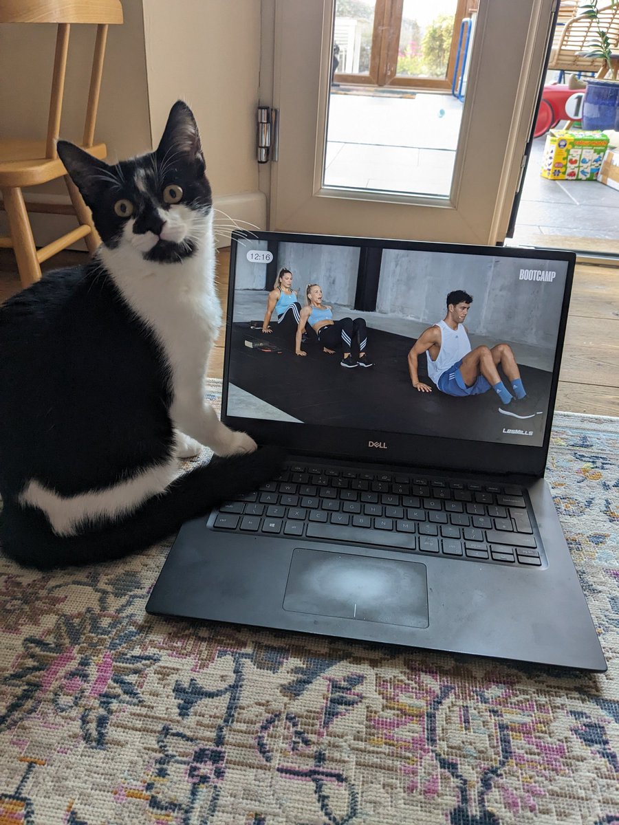 spobjoy's tweet photo. @lesmillsUK #bootcamp with cat for added burn! https://t.co/wiHNYLSD4y