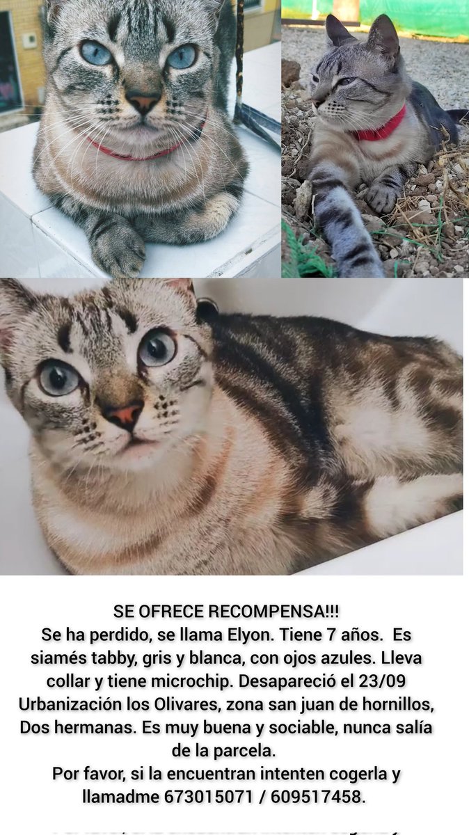 Lauribluee ☽ (@lauribluee) on Twitter photo 