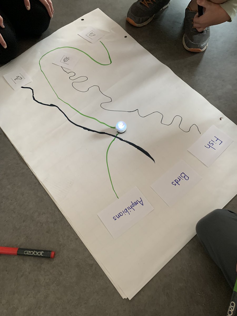 We used a BeeBot and Ozobots to explore sorting different animals into their 6 types. <a href="/StMartinOCSB/">St. Martin de Porres School</a>