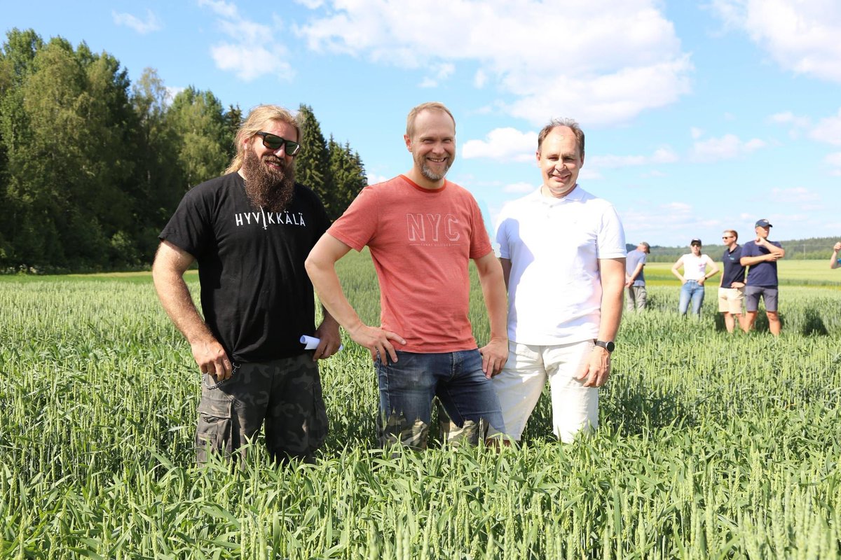 KM Ruutukisan voittivat OhraOraakkelit 8 843 kg/ha ruutusadolla. Oraakkelit voittivat kisan lajikeseoksella (#Sting + #Laureate). Onneksi olkoon Samuel Jussila, Matias Rönnqvist ja Kari Alasaaari! #KMRuutukisa
