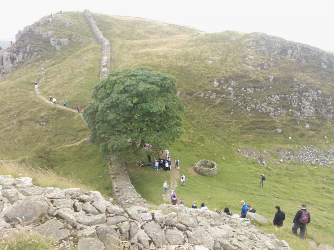 Donnabutt8's tweet photo. So sad, pleased I got to see it a few year back, always looked out for #Sycamoregap passing and a big #RobinHoodPrinceofthieves fan https://t.co/rbxY57HZCi