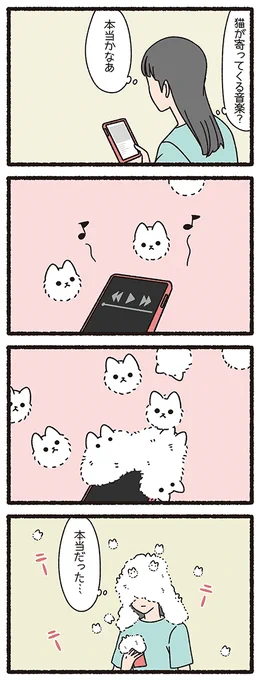 ねこようかい けさらんぱさらん
#ねこもんすたー #ねこようかい 