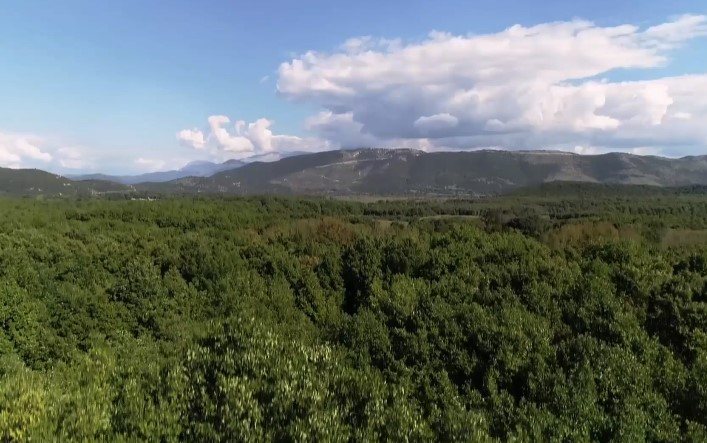 GreceParis's tweet photo. Cuisines des terroirs sur @ARTEfr présente le massif du #Pinde et ses passionnés de champignons qui préparent des plats savoureux : des feuilletés appelés manitaropita, des petites pâtes à cuire comme un risotto, le kritharoto, ou encore des entremets.
👀 https://t.co/fEVse3t2Tx https://t.co/2dDMpTwkqD