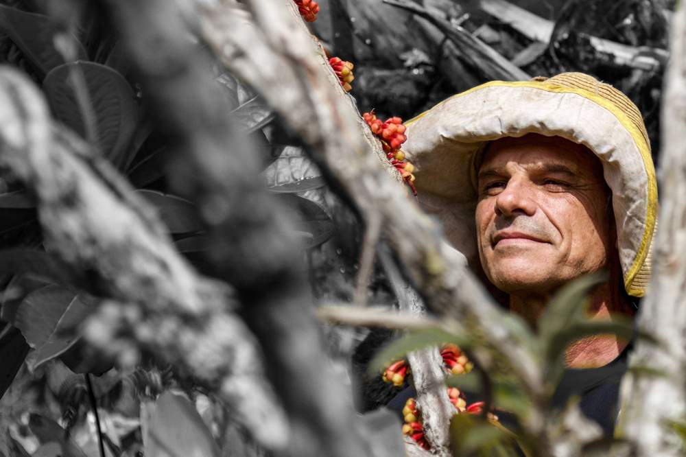 One of the most symbolic papers of my career is now out. Here we describe two new species of Barbacenia (Velloziaceae), one in honor of my former supervisor and a great botanist, Renato Mello-Silva (in memoriam). 
🌿🌱🍀🌴🌻🌺🌼

phytotaxa.mapress.com/pt/article/vie…