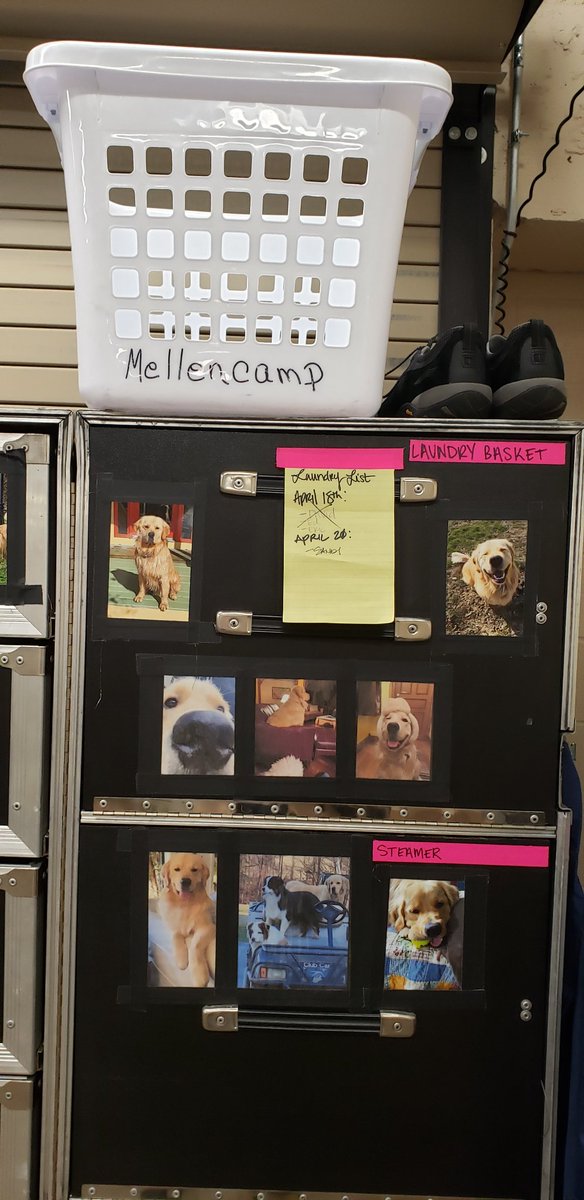 shellsamhell's tweet image. Somebody has to take care of the laundry