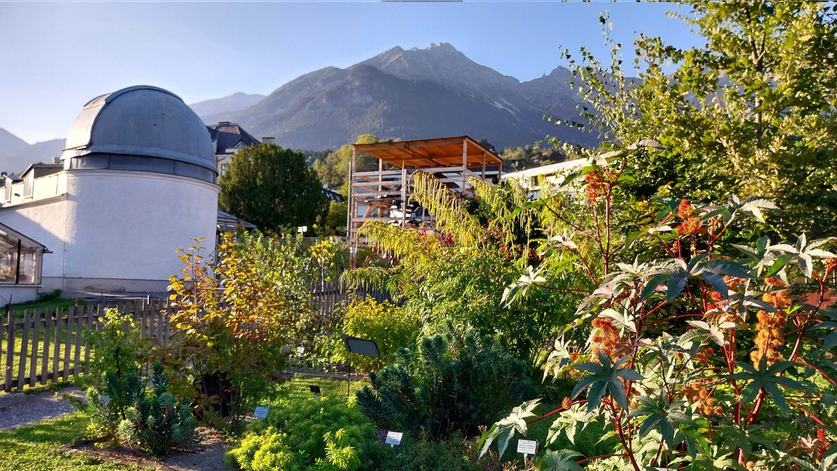 Michael O'Connell tweet media