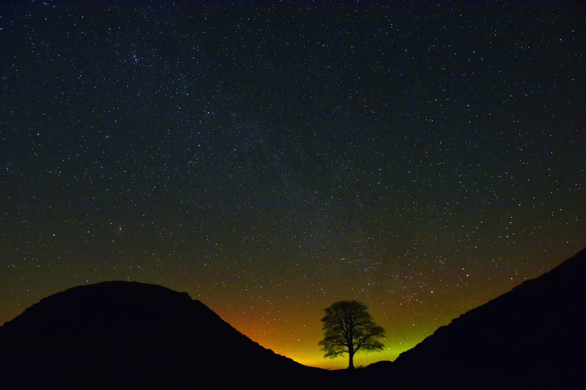 Seven years ago I almost froze to the spot waiting to to see this glimmer of #auroa at #SycamoreGap - what a magical place it was.