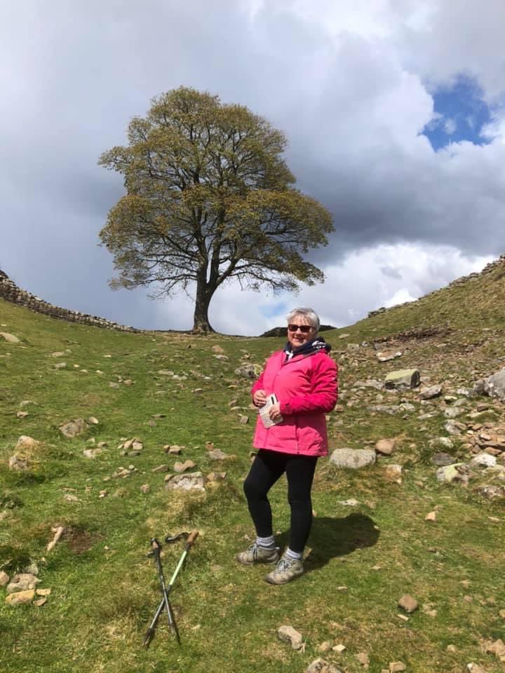 neilrobbo69's tweet photo. Totally unbelievable how could someone do this to sycamore Gap such fond memories being visiting since my school days https://t.co/BKlpBLETXw