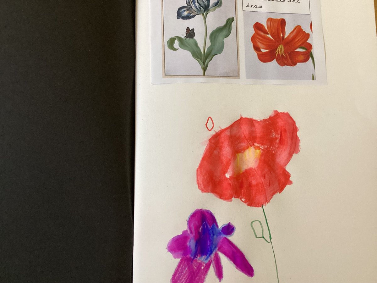 KatieManoy tweet media