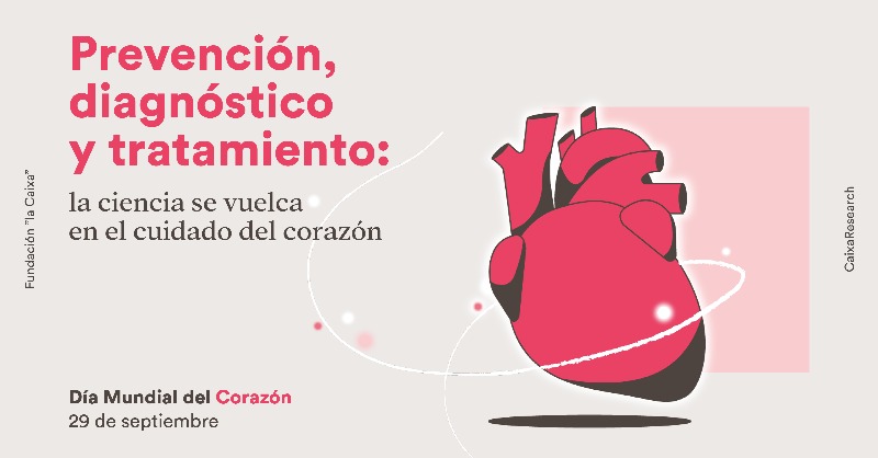 CaixaResearch's tweet photo. 🔬 Desde CaixaResarch impulsamos la investigación y la innovación para mejorar la salud de millones de personas.

❤️ Aunque no la escuchemos, la búsqueda de soluciones para mejorar la prevención, diagnóstico y tratamiento de las enfermedades cardiovasculares, late incansablemente