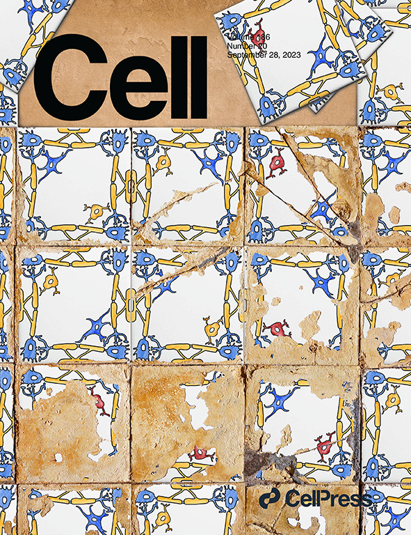 The new issue is out! Just in time for #WorldAlzheimersMonth, Cell features four articles that together demonstrate the genomic, epigenomic, and transcriptomic dysregulations underpinning Alzheimer's disease at single-cell resolution across cell types. 

To read more click…