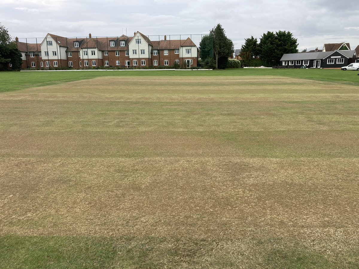 Jamie Foyster tweet media