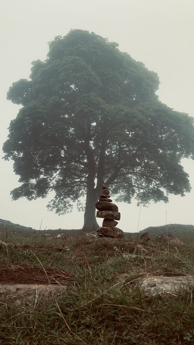 Shane White Photography tweet media