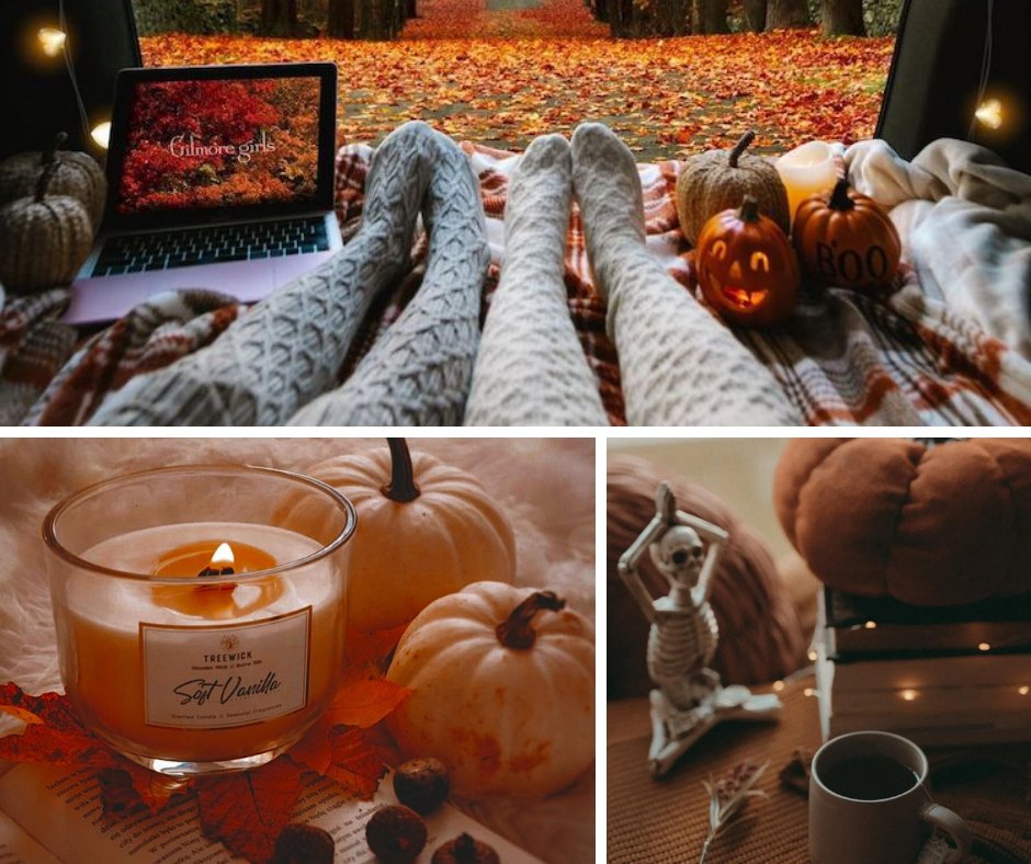 ReallyRushai's tweet image. Cozy Fall Aesthetic for 2023 - ReallyRushai ✨
Get into the cozy fall mood. Cozy fall aesthetic for 2023 | Get into the cozy fall mood with these stunning autumn aesthetic photos.
reallyrushai.ca/fall-aesthetic…
#fall #fallseason #fallaesthetic