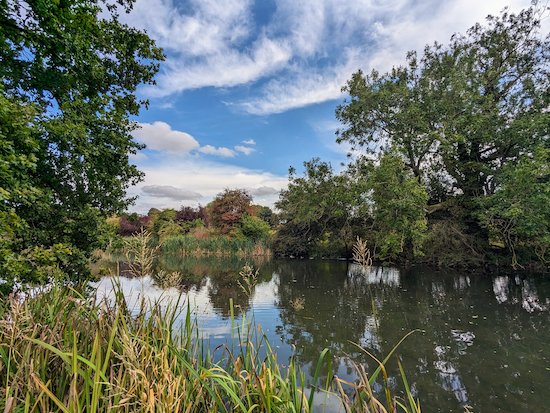 Hertfordshire Walker tweet media