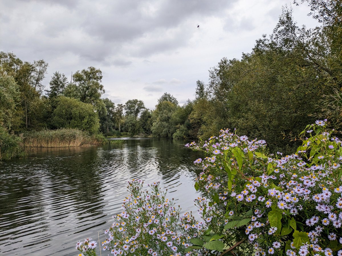 Hertfordshire Walker tweet media