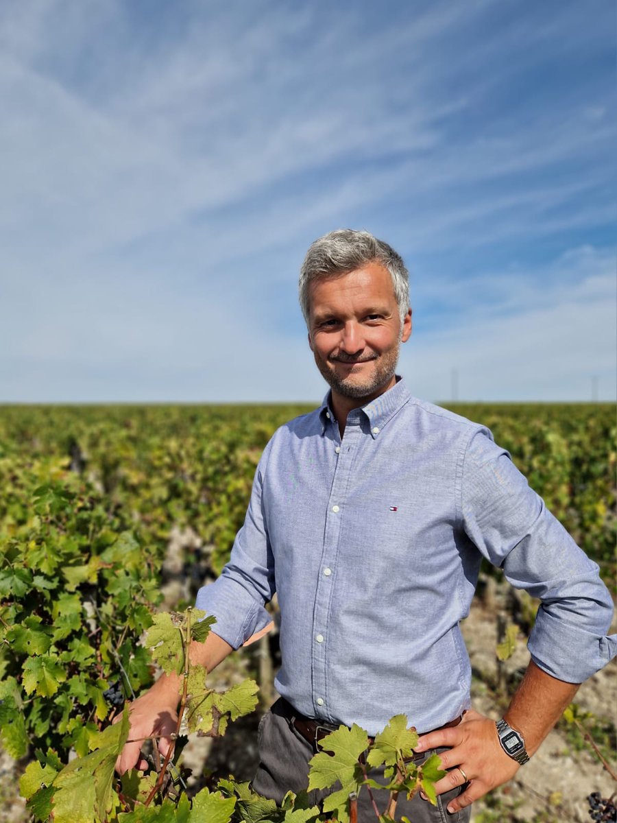 Marco Balsimelli steps up to be Production Director of Masseto and Ornellaia from January 2024. He studied oenology and viticulture at the University of Florence before heading to Faculté d’Oenologie in Bdx and working at Gruaud Larose. Since 2010, he has worked as a consultant