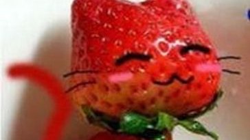 lovesickdoe's tweet photo. strawberry cats https://t.co/l8GbQ9cSHj