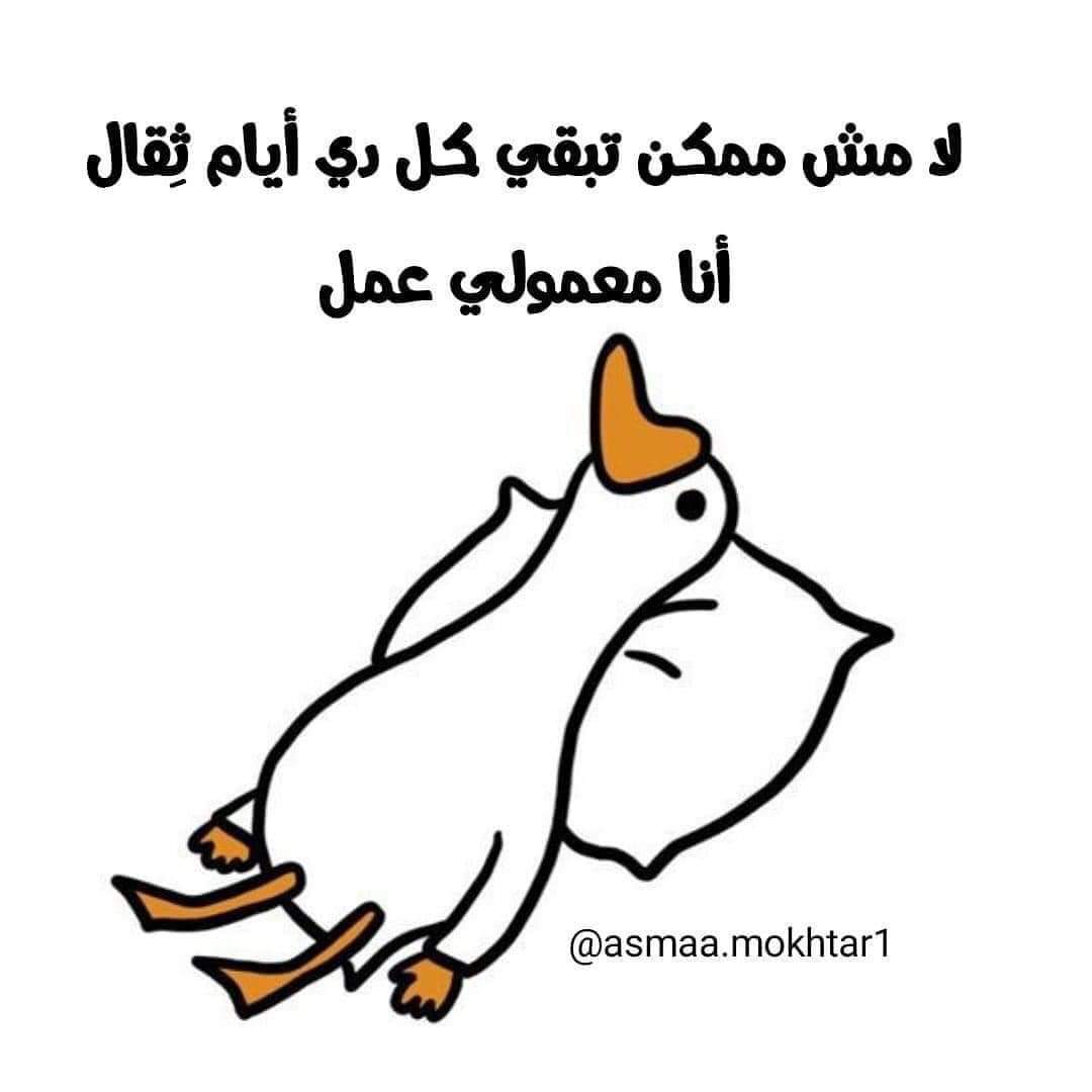 Caspar 👻 tweet media