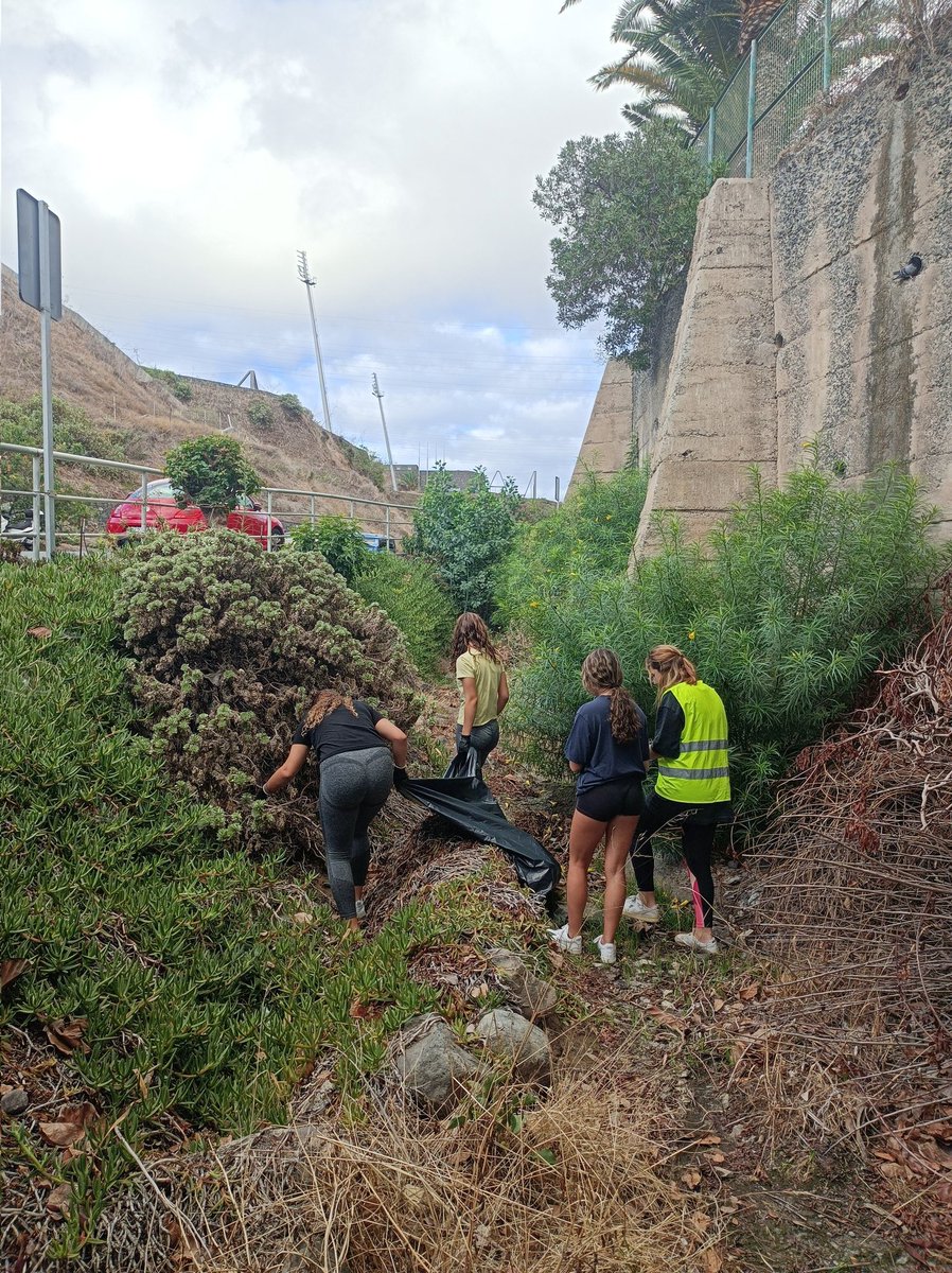 Isis Comas tweet media