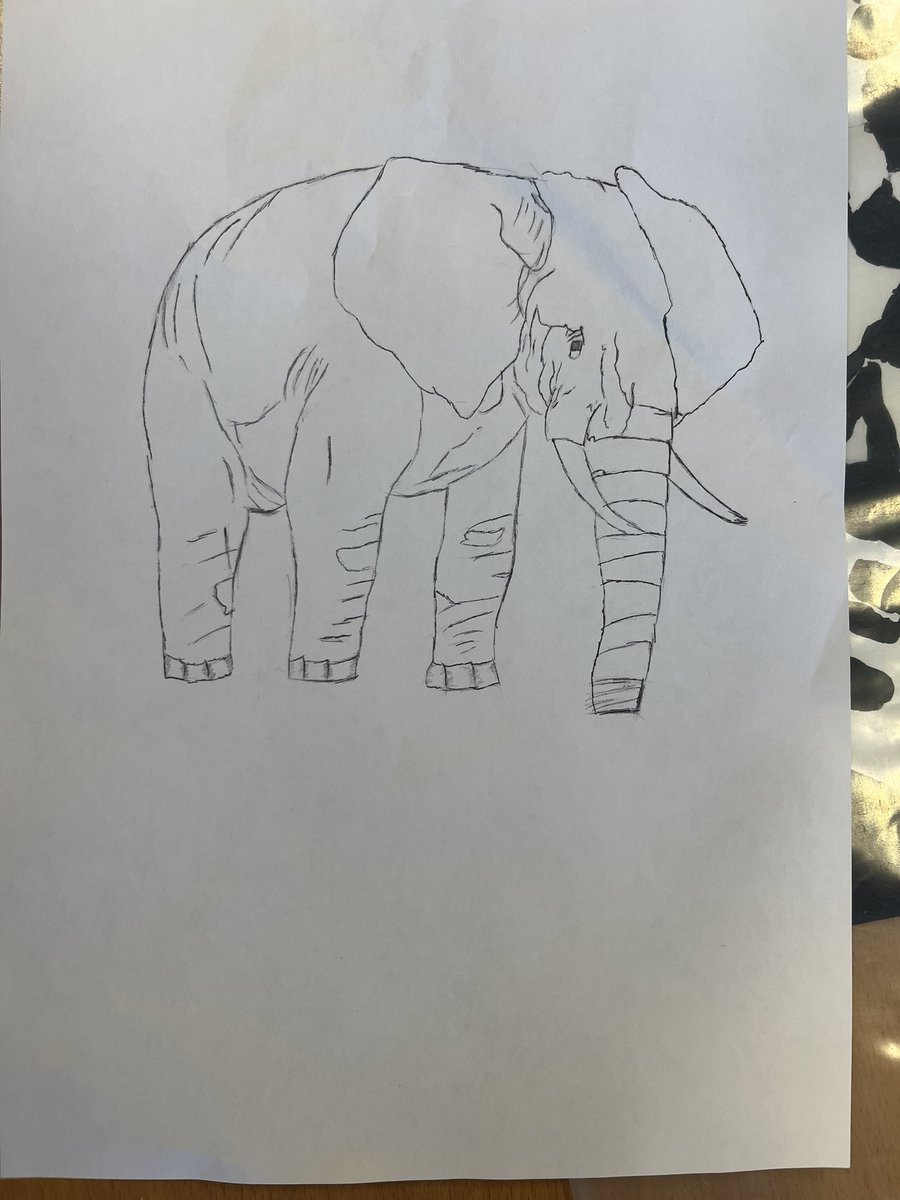 SASB Art and Design (@sasbartandesign) on Twitter photo Fantastic Work from Miss Blair’s 2.3 on their line drawings for their new repeat pattern project based on the Amazon Rain Forest! <a href="/sasbhighschool/">SASB High School</a> #NQTinSLC #itsSLC Fantastic Work from Miss Blair’s 2.3 on their line drawings for their new repeat pattern project based on the Amazon Rain Forest! <a href="/sasbhighschool/">SASB High School</a> #NQTinSLC #itsSLC
