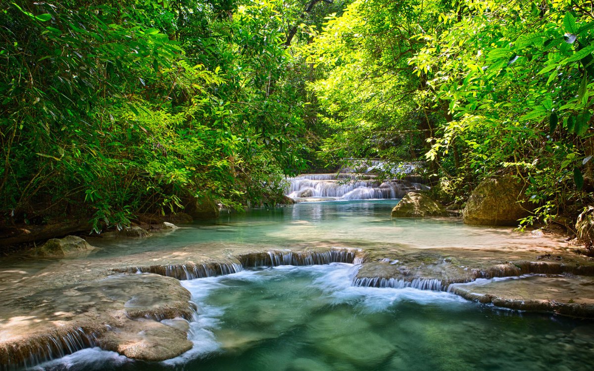 What is your openion about this natural environment